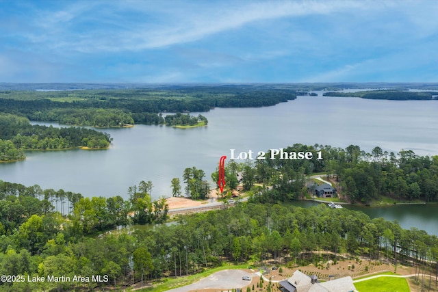 369 Luannes Way, Alexander City, AL 35010 - photo 10