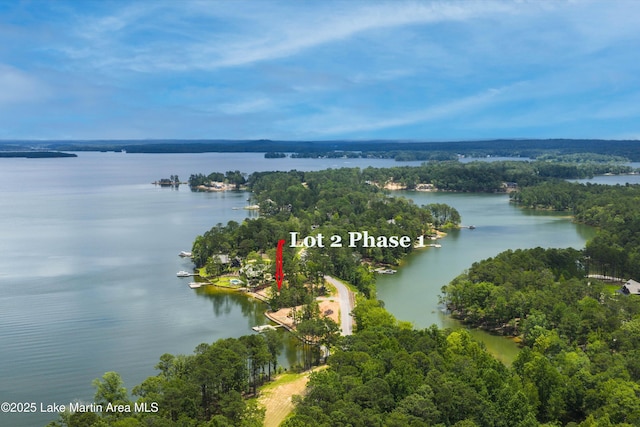 369 Luannes Way, Alexander City, AL 35010 - photo 7