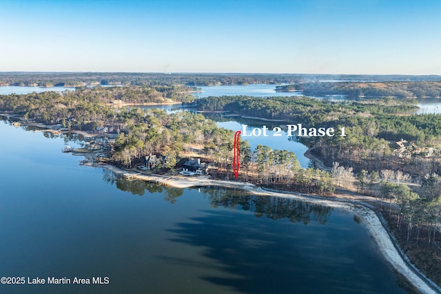369 Luannes Way, Alexander City, AL 35010 - photo 13
