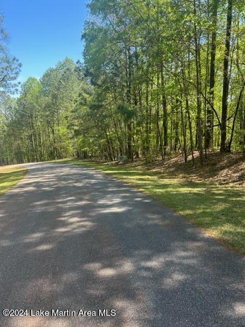 Listing photo 2 for LOT27/31 Aberdeen Rd, Dadeville AL 36853