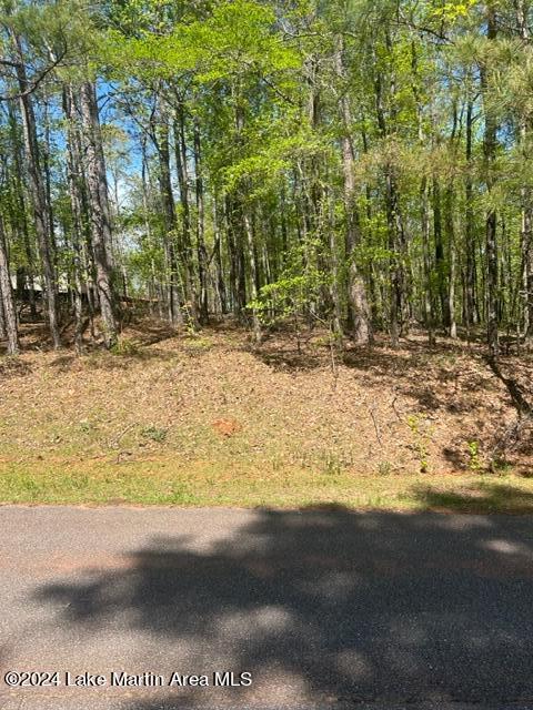 Listing photo 3 for LOT27/31 Aberdeen Rd, Dadeville AL 36853