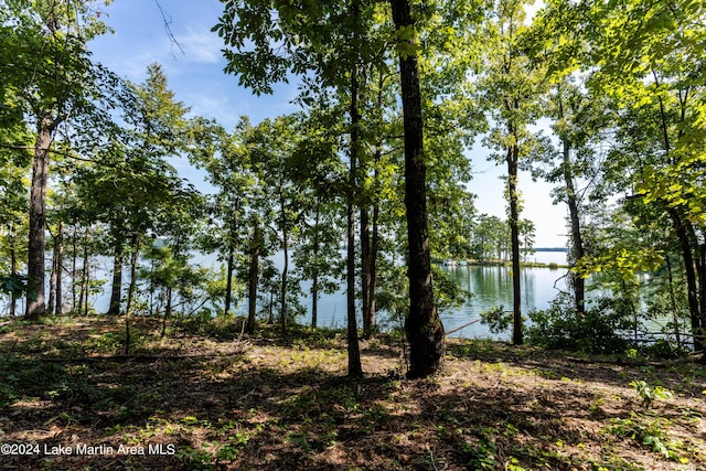 143 Luannes Pt, Alexander City AL, 35010 land for sale