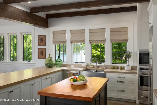 kitchen with wood counters, appliances with stainless steel finishes, a wealth of natural light, and sink