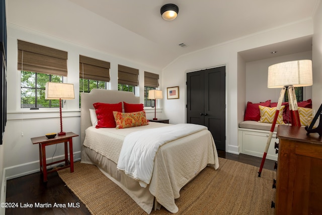 bedroom featuring lofted ceiling, a closet, and dark wood-type flooring