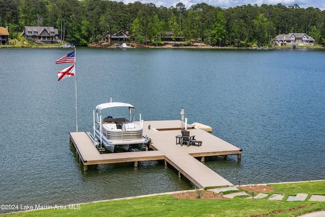 dock area with a water view