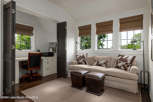 living room featuring plenty of natural light, dark hardwood / wood-style floors, and vaulted ceiling