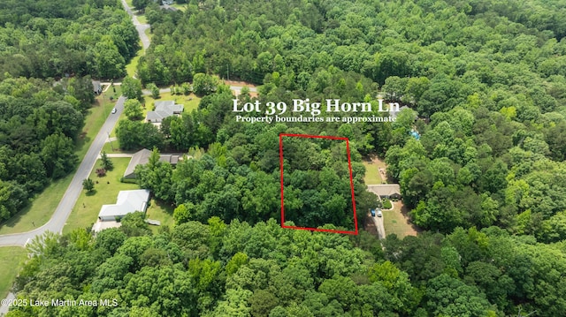 LOT39 Big Horn Ln, Dadeville, AL 36853 - photo 5