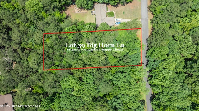 LOT39 Big Horn Ln, Dadeville, AL 36853 - photo 1