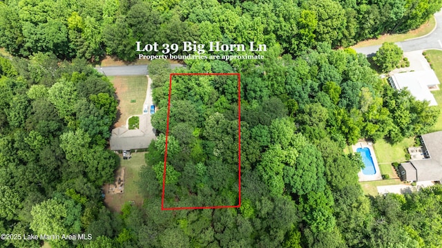 LOT39 Big Horn Ln, Dadeville, AL 36853 - photo 3
