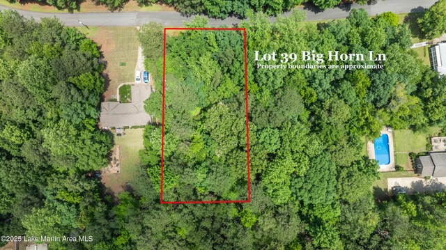 LOT39 Big Horn Ln, Dadeville, AL 36853 - photo 2