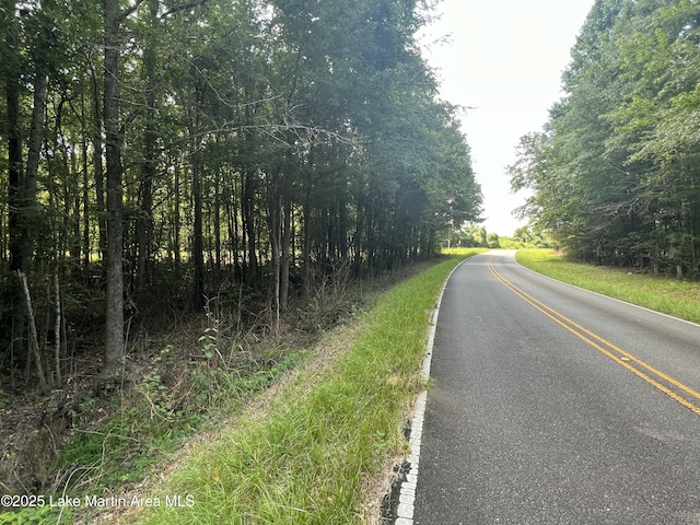 Coosa County Rd 85, Goodwater, AL 35072 - photo 9