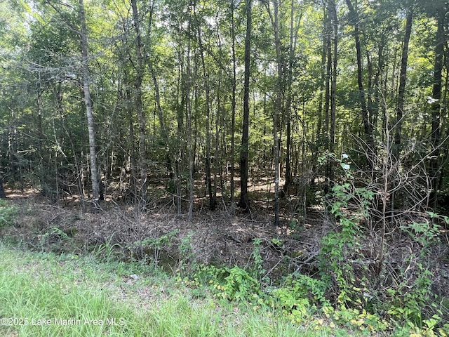 Coosa County Rd 85, Goodwater, AL 35072 - photo 8