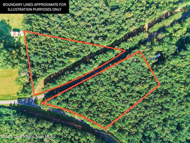 Coosa County Rd 85, Goodwater, AL 35072 - photo 5