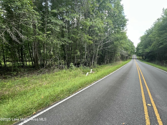 Coosa County Rd 85, Goodwater, AL 35072 - photo 10