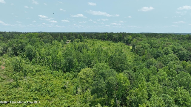 00 Lindsey Rd, Eclectic, AL 36024