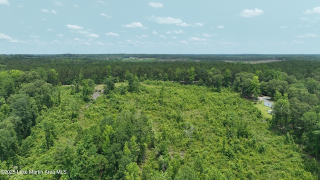 00 Lindsey Rd, Eclectic, AL 36024