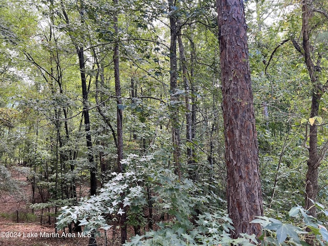 LOT1 Knollwood Dr, Dadeville AL, 36853 land for sale