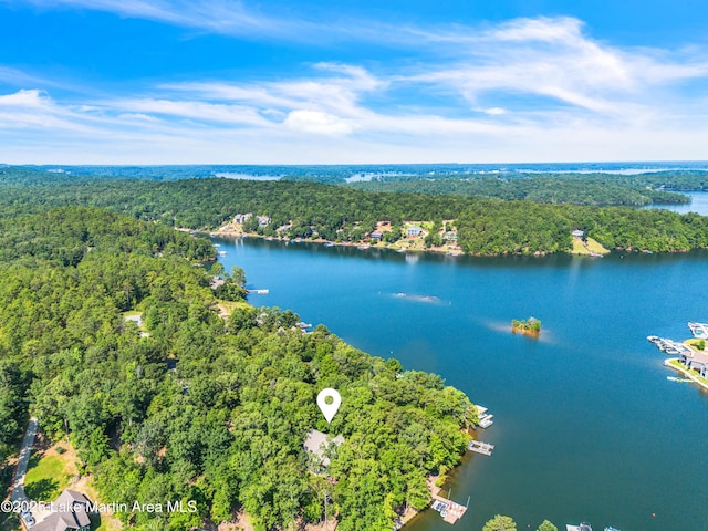 110 Lighthouse Ct, Dadeville, AL 36853 - aerial view of a forest and a nearby body of water