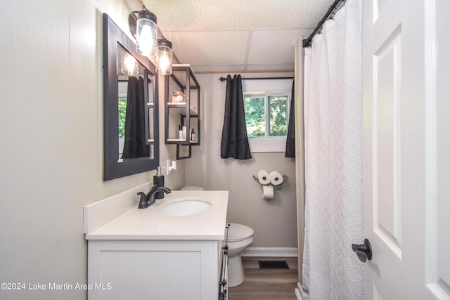 bathroom featuring vanity, wood-type flooring, and toilet