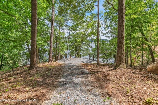 593 Elks Pkwy, Alexander City, AL 35010 - view of street