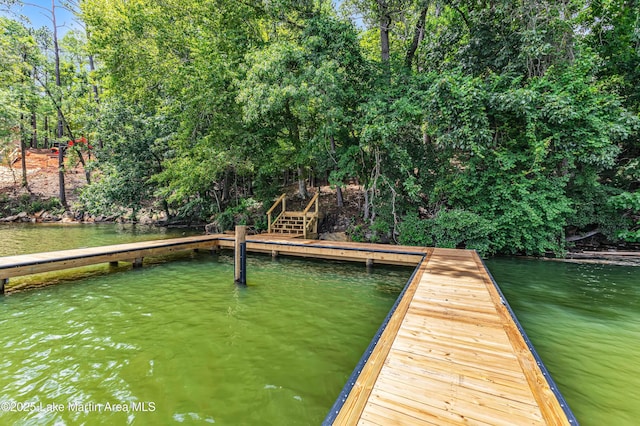 593 Elks Pkwy, Alexander City, AL 35010 - dock with a water view and view of wooded area