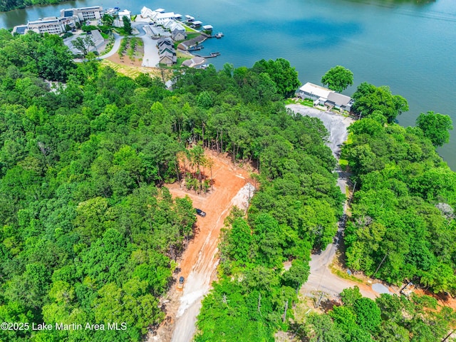 593 Elks Pkwy, Alexander City, AL 35010 - aerial overview of property's location with a large body of water and a forest