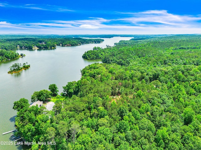 593 Elks Pkwy, Alexander City, AL 35010 - aerial view of a forest and a large body of water