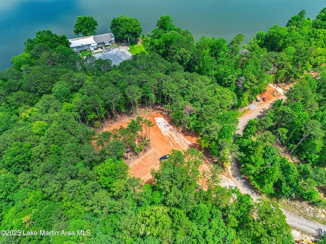593 Elks Pkwy, Alexander City, AL 35010 - view of property location with a nearby body of water