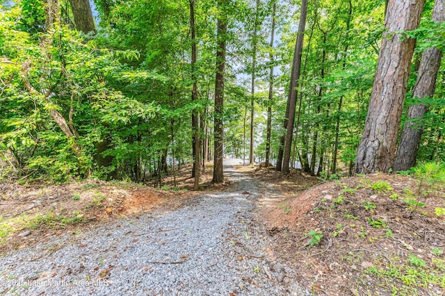 593 Elks Pkwy, Alexander City, AL 35010 - view of street featuring a wooded view