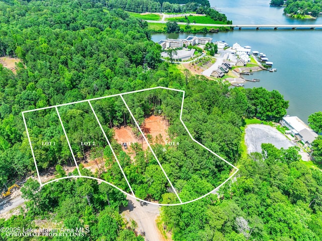 593 Elks Pkwy, Alexander City, AL 35010 - aerial view of property's location with a nearby body of water and property boundaries highlighted