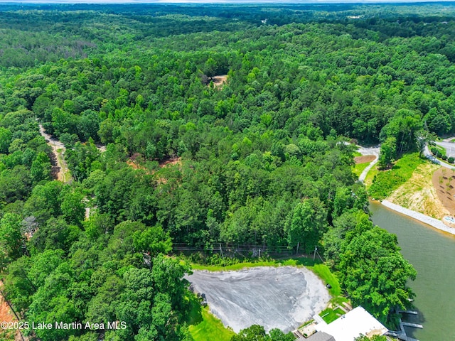 593 Elks Pkwy, Alexander City, AL 35010 - view of property location featuring a heavily wooded area and a large body of water