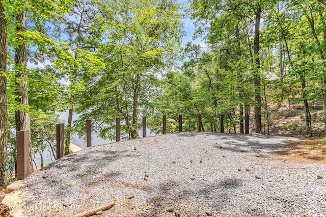593 Elks Pkwy, Alexander City, AL 35010 - view of yard with a dock