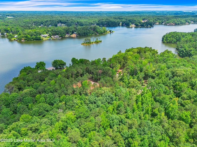 593 Elks Pkwy, Alexander City, AL 35010 - view of property location featuring a forest and a nearby body of water