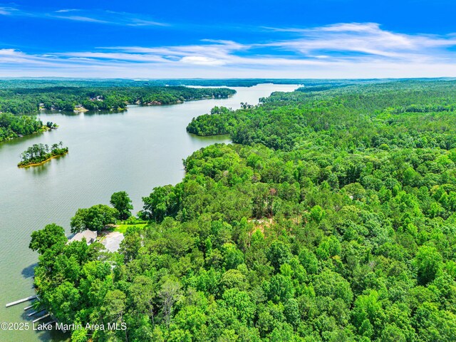 593 Elks Pkwy, Alexander City, AL 35010 - aerial view of a forest and a large body of water