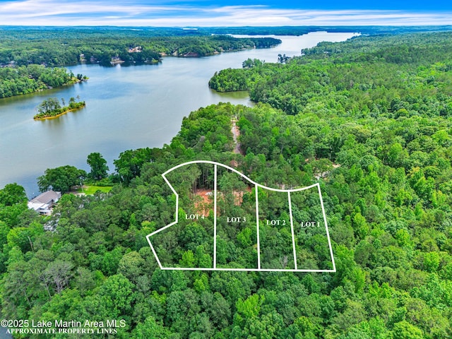593 Elks Pkwy, Alexander City, AL 35010 - aerial view of property's location featuring property boundaries highlighted