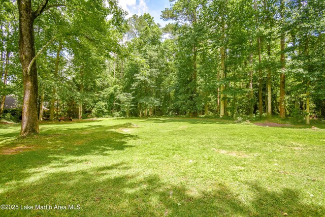 1481 College St, Alexander City, AL 35010 - photo 88