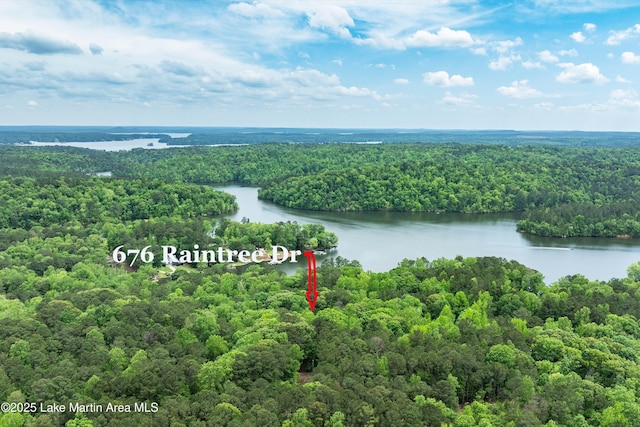 drone / aerial view with a wooded view and a water view