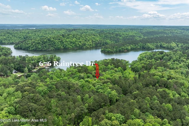 birds eye view of property featuring a water view and a view of trees