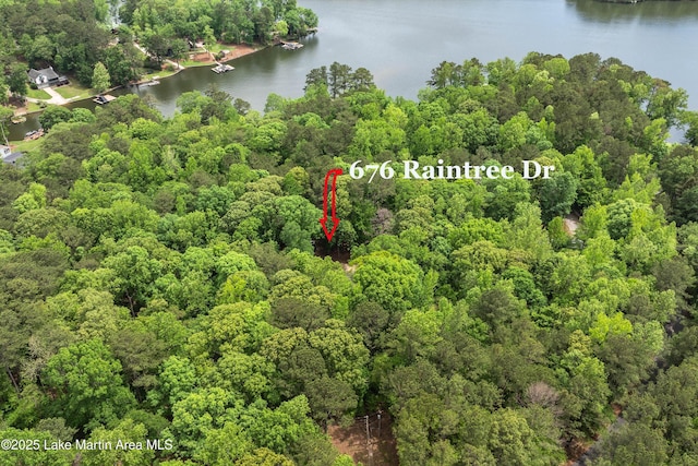 bird's eye view with a water view and a wooded view