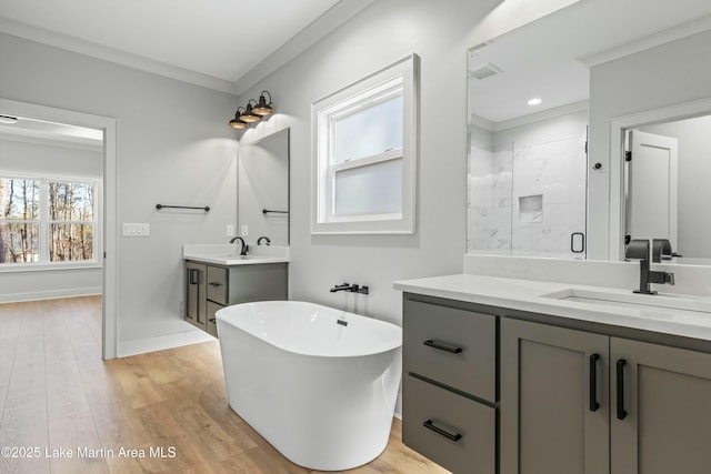 bathroom featuring two vanities, ornamental molding, a sink, a shower stall, and wood finished floors