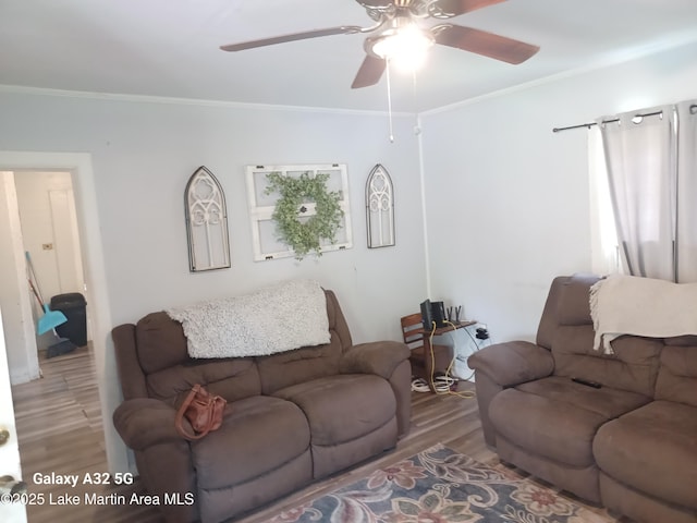 living room featuring crown molding, a ceiling fan, and wood finished floors