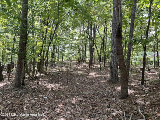 LOT25 Stillwaters Dr, Dadeville AL, 36853 land for sale