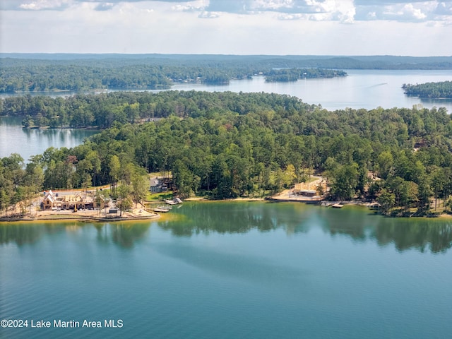 33 Luannes Pt, Alexander City, AL 35010 - photo 13