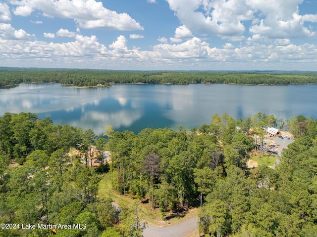 33 Luannes Pt, Alexander City, AL 35010 - photo 5