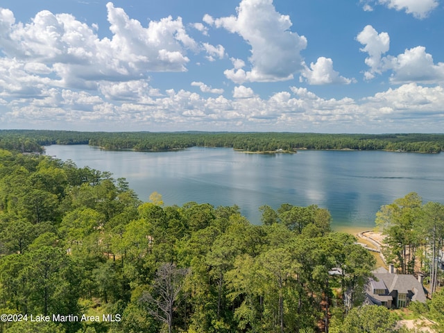 33 Luannes Pt, Alexander City, AL 35010 - photo 15