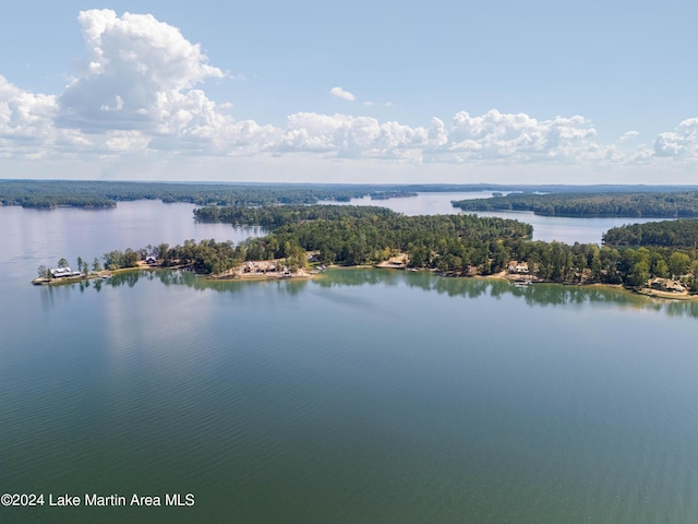 33 Luannes Pt, Alexander City, AL 35010 - photo 12