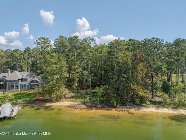 33 Luannes Pt, Alexander City, AL 35010 - photo 10