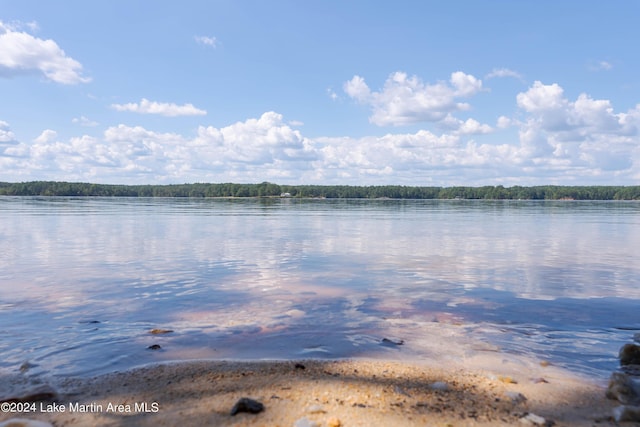 33 Luannes Pt, Alexander City, AL 35010 - photo 3