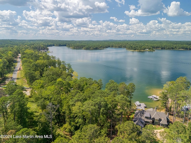 33 Luannes Pt, Alexander City, AL 35010 - photo 9