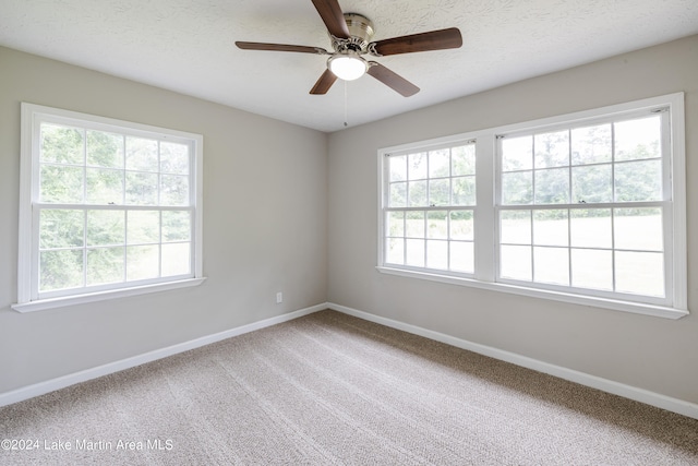 unfurnished room featuring carpet and a wealth of natural light